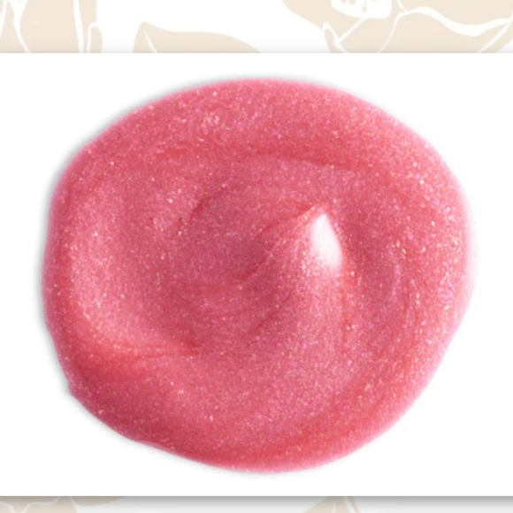 Vintage By Jessica Liebeskind SPARKLING LIPGLOSS in Rosebud 4g BRAND NEW IN BOX - Picture 2 of 3